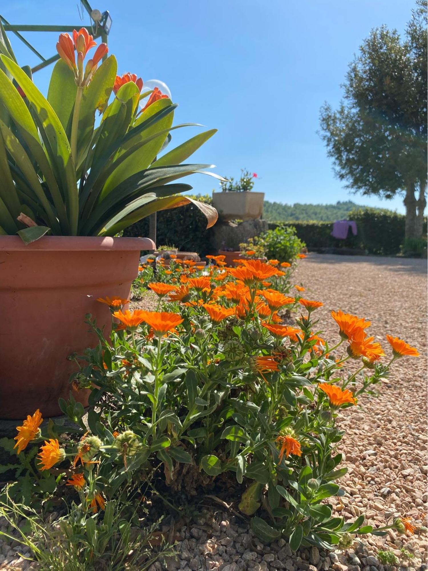 Casa Vacanze Podere San Giusto Volterra Buitenkant foto