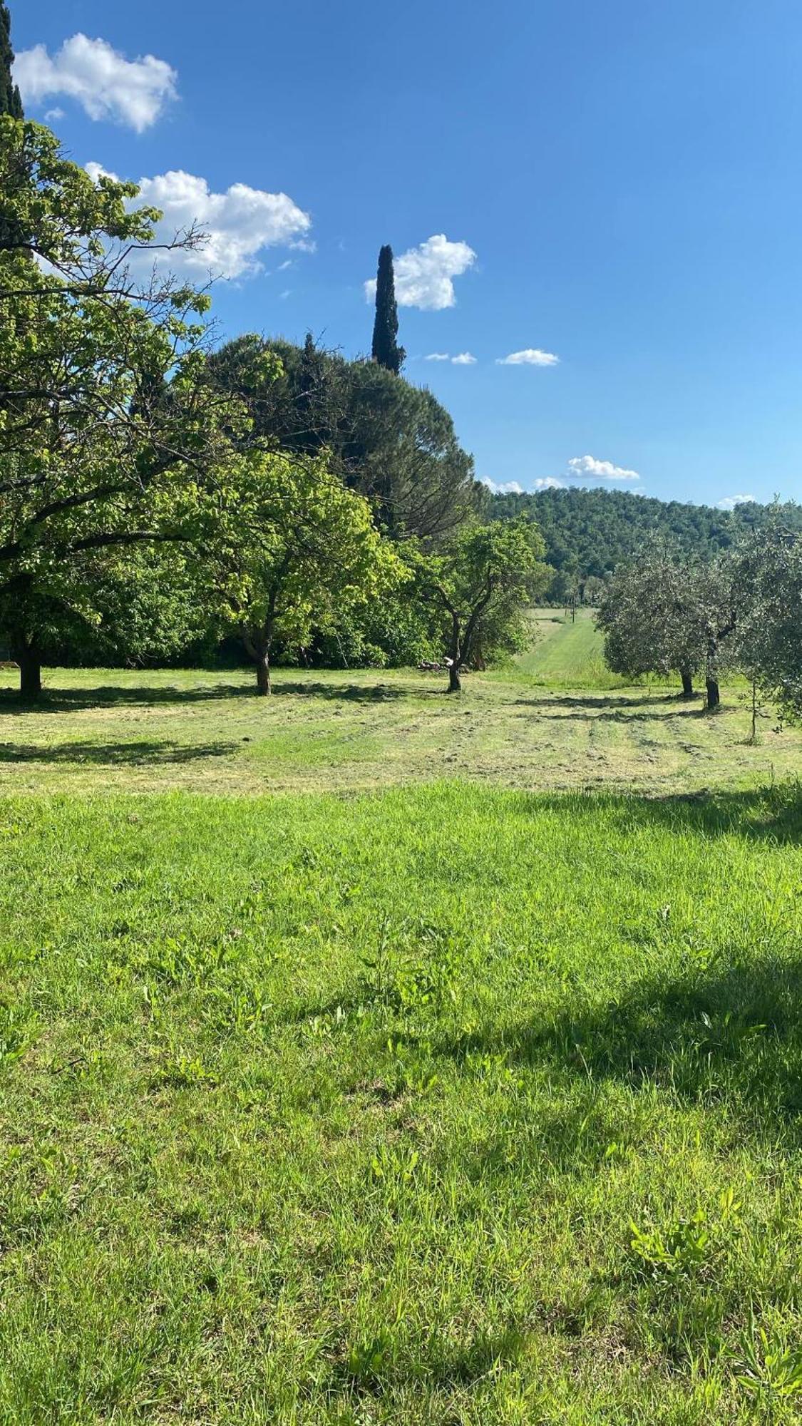 Casa Vacanze Podere San Giusto Volterra Buitenkant foto