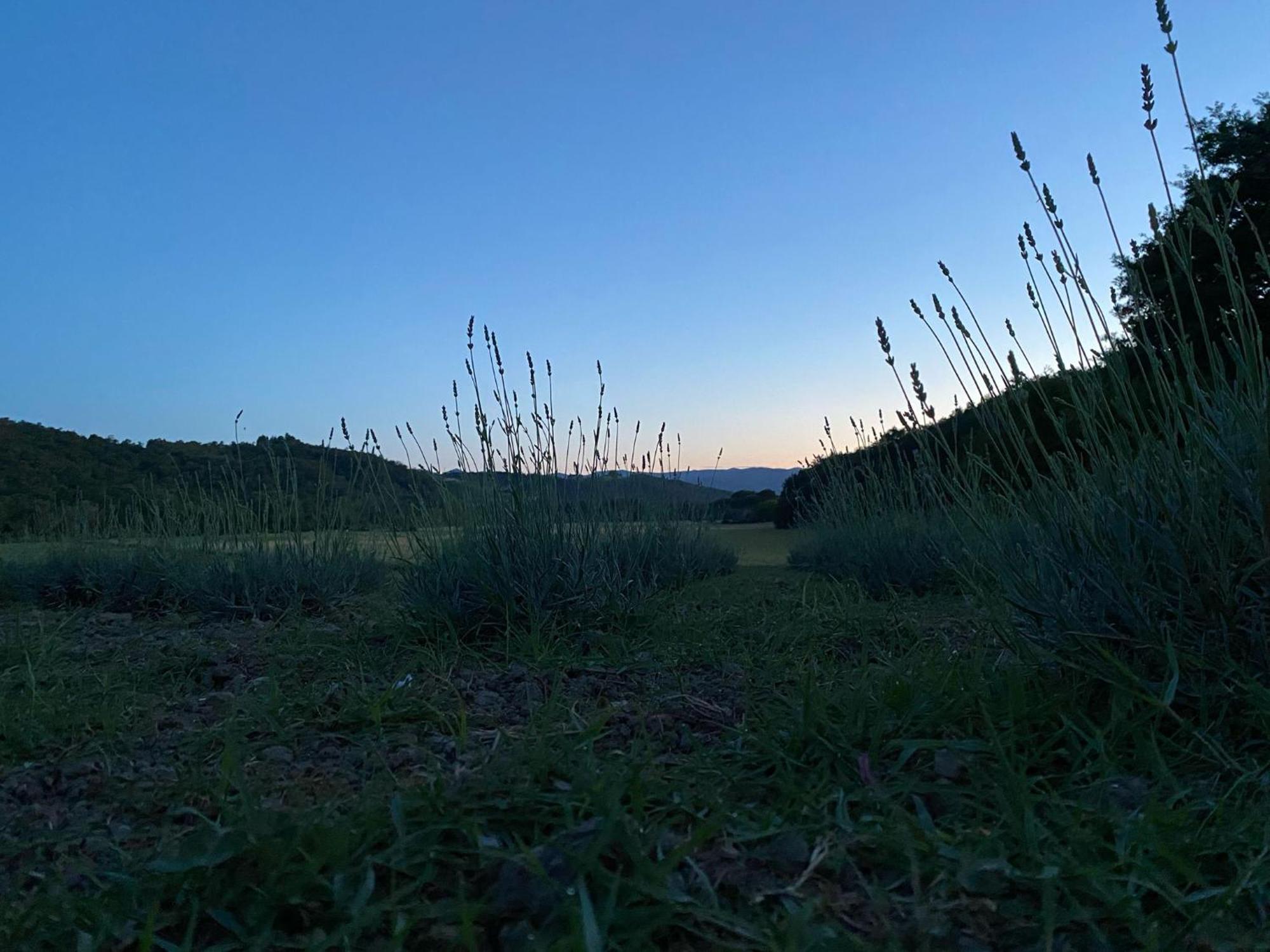 Casa Vacanze Podere San Giusto Volterra Buitenkant foto