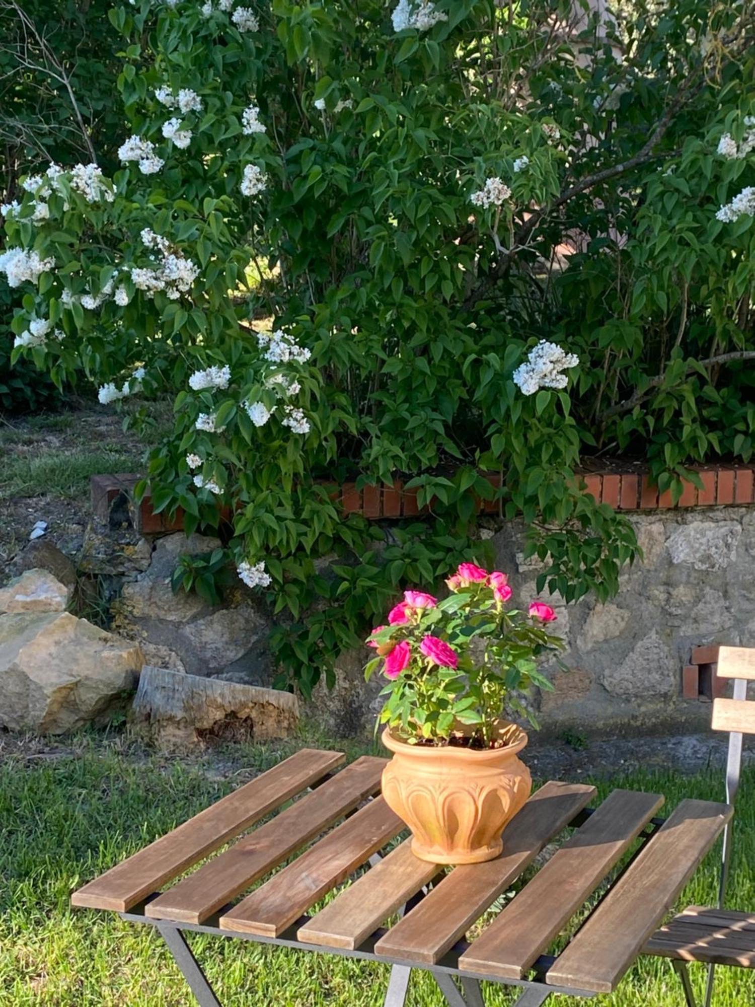 Casa Vacanze Podere San Giusto Volterra Buitenkant foto